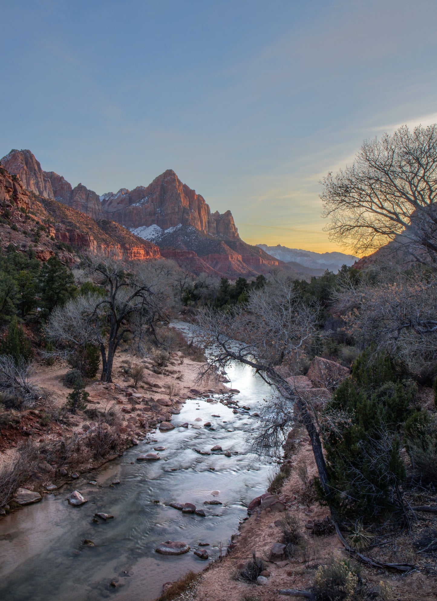 The Watchman